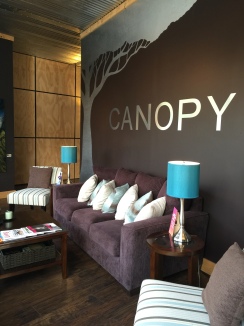 Canopy an Aveda Salon